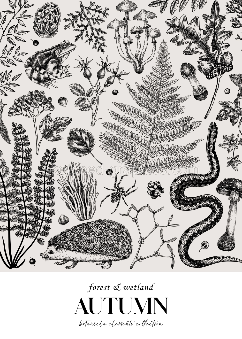 Autumn forest background. Hand drawn fallen leaves, ferns, autumn plants, mushrooms, woodland animals sketches. Botanical design template of card, invitation, cover Illustration